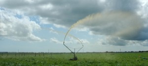 travelling effluent irrigator