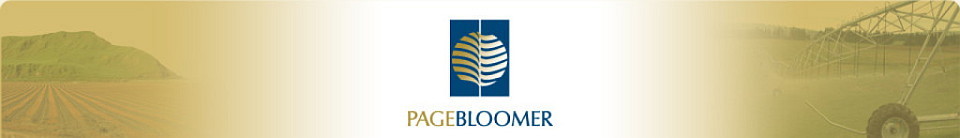 Page Bloomer